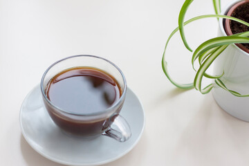 Fragrant black coffee stands on a light table. Breakfast with coffee. Make coffee in a turk. Space for the text.