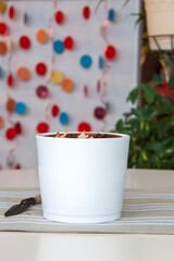 Freshly planted flower bulbs in the ground in a pot. Growing at home.