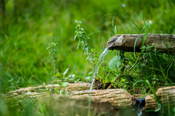 Source of clean water that flows in a gutter surrounded by green and rich vegetation. drinking water reserves are declining in countries such as India and Turkey.