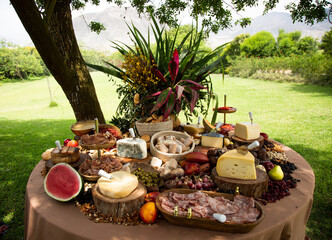 Mesa de quesos, embutidos y jamones en el campo debajo de un árbol