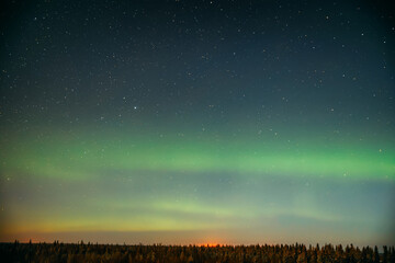 Northern Lights in the starry sky above the forest. Night landscape