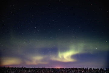 Fototapeta premium Northern Lights in the starry sky above the forest. Night landscape
