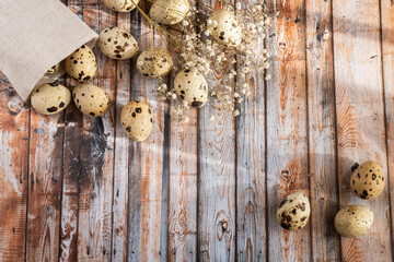 Top view on organic farmer quail eggs. Healthy food concept. Easter concept with copy space, selective focus. Rustic style