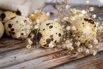 Obraz premium quail eggs over old wooden background, selective focus. Rustic style. Protein diet. Healthy diet. Easter concept
