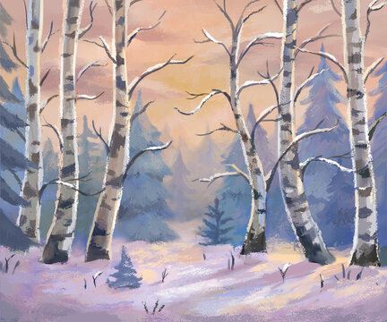 Birches forest landscape. Hand drawn illustration. Winter, spring, watercolor, acrylic style