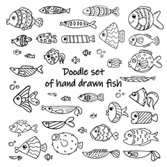 Doodle set of hand drawn fish. Image for labels, web, icons, postcards, decoration. Cheerful, childish, cute vector marine theme.