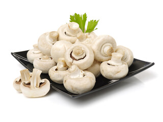 White mushrooms on white background