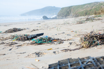 La basura de la sociedad tirada al mar es devuelta a las playas contaminando su flora y fauna