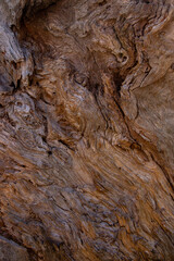 Obraz premium madera textura 