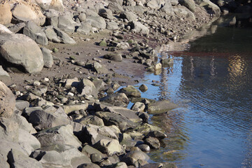 The water’s edge with rocks and stones of an ocean marina harbor with calm reflecting water