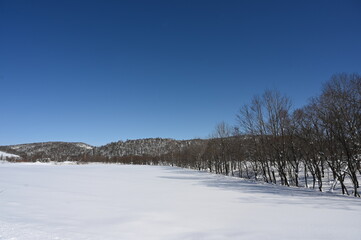 晴れた空と雪原