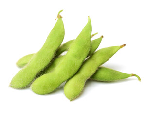Fresh harvested soybean (edamame) plant isolated on white background