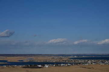 seagulls on the beach
