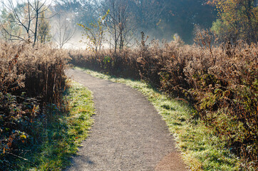 623-72 Morning Trail in the Mist