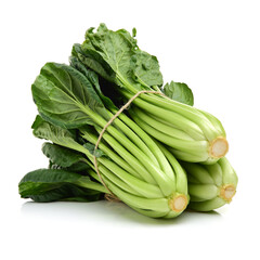 Obraz premium Fresh harvested Tah Tsai lettuce isolated on white. Tah Tsai or (Tatsoi) a commly used green leaf vegetable in Chinese and oriental dishes.