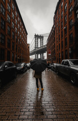 Mujer con Paraguas con vista al puente de Brooklyn