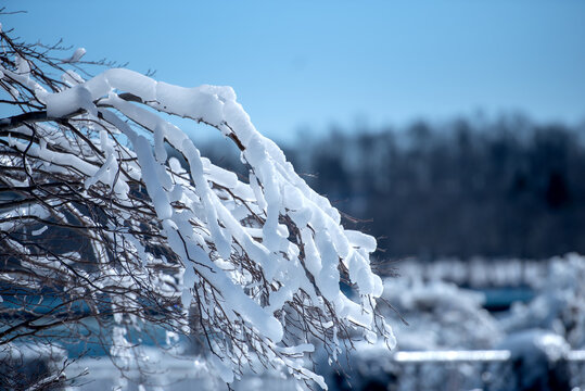 Frost And Ice Build Up From The Freezing Mist Along The River Banks.  Trees, Buildings And Any Hard Surface Gets Covered In Ice And Frost.