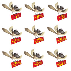 Set of funny flying birds with information about discount