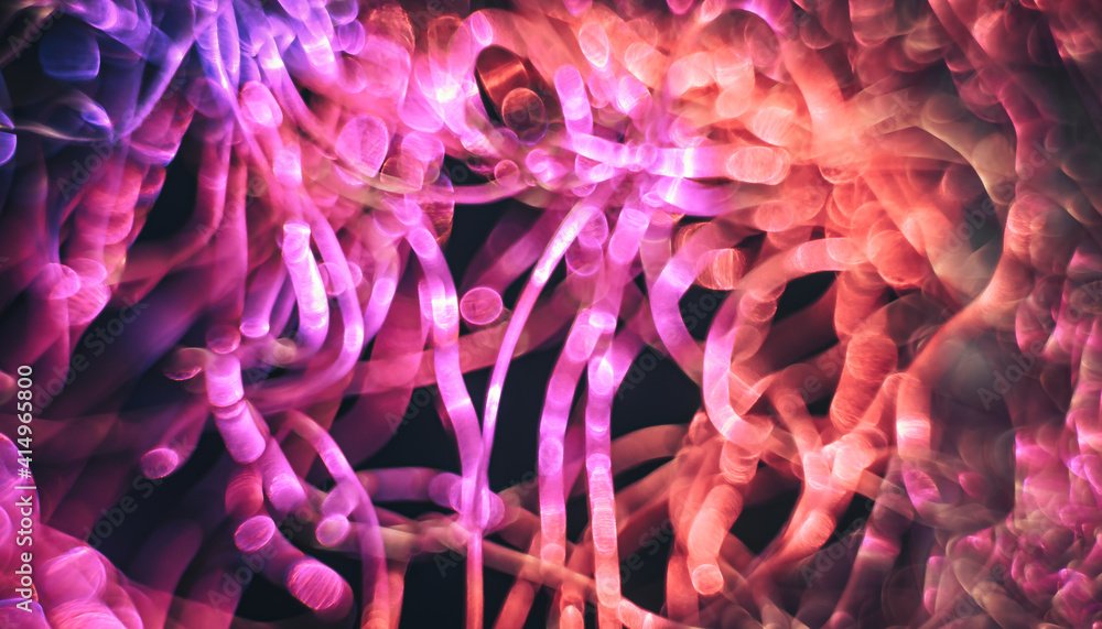 Aufkleber Beautiful optical abstract multicoloured  bokeh in the darkness  background.
