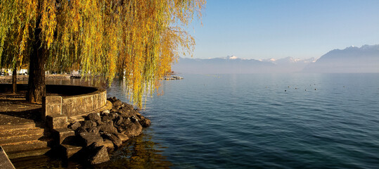 Herbswt am Genfersee