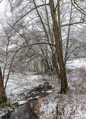 Winter Landschaft mit Bach, Schnee, Eis und Bäumen