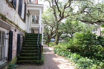 Fototapeta na wymiar Savannah Stairs