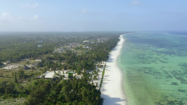 Aerial drone view over perfect palm fringed Paje Beach, Zanzibar, Tanzania with blue and green ocean