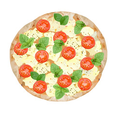 Pizza with tomatoes and mozzarella cheese. Vector clipart.