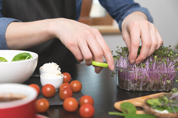 Women preparing fresh grain bread with salad from microgreens. At home grown superfood healthy eating concept.