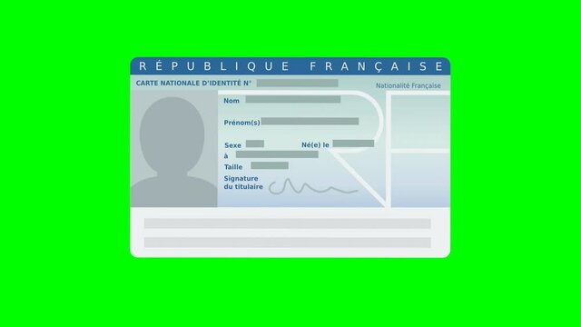 Une main présente sa carte d'identité française au format carte de crédit sur fond vert (flat design)