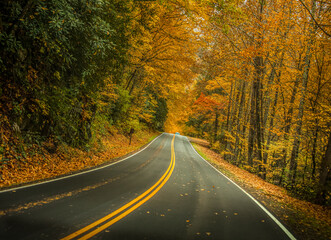 A colorful road to smokey mountains