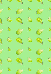 A pattern with green lettuce leaves on a light green background. Grocery background.