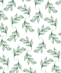 Vector tropical leaves pattern. Seamless botanic hand-drawn texture. Spring floral background summer herbs. Repeated pattern can be used for wallpaper, pattern, backdrop, surface textures. 