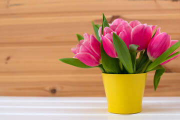 Purple-pink tulips in a yellow pot on a white background, spring and Easter card, top view, place for text