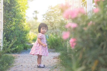 A Lovely asian little girl wear a pink dress is standing in the park at the evening sunshine
