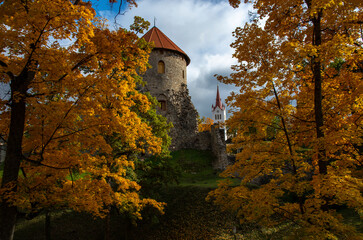 Obraz premium old castle in the autumn park landscape with blue sky and clouds 