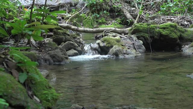 Sa Nang Manora waterfall in Phang Nga, Thailand, wonderful fresh water, small green waterfalls. Looks comfortable.