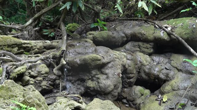 Sa Nang Manora waterfall in Phang Nga, Thailand, wonderful fresh water, small green waterfalls. Looks comfortable.
