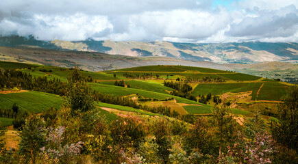 Obraz premium landscape