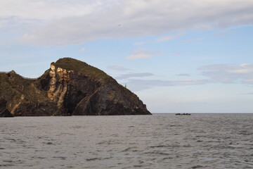 Fuciño de Porco Viveiro