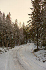 Fototapeta premium road in winter forest