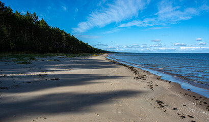 nordic beach and sea in sunshine morning landscape with pines and blue sea and long shadows 
