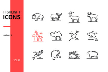 Animals collection - modern line design style icons set © Boyko.Pictures