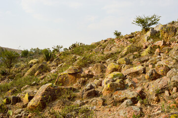 semi-arid climate stones