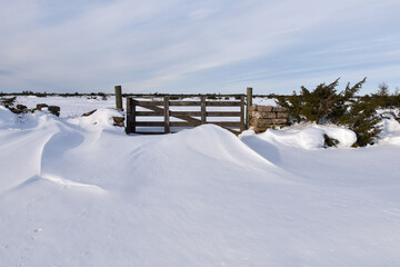 Old wooden gate with snow drift