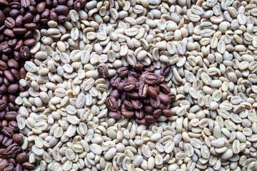 Close up of roasted and unroasted coffee grains