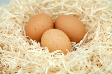 Chicken eggs in a nest of wood shavings.