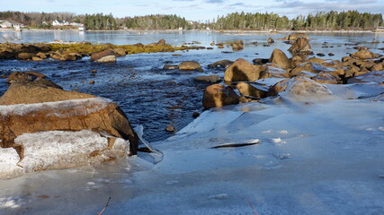 Fototapeta premium river in the forest