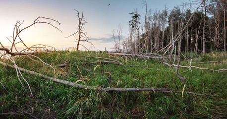 lake coast at sunset. natural background