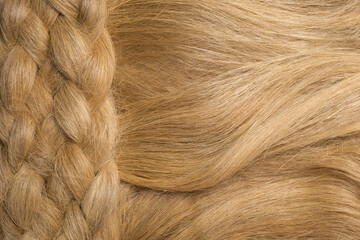 Fototapeta premium A full page of flax fibers texture. Textured background with copy space for your message.